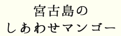 宮古島 通販 マンゴー | 宮古島のしあわせマンゴー 