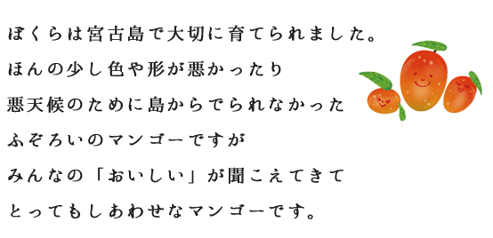 宮古島 通販 マンゴー | 宮古島のしあわせマンゴー 