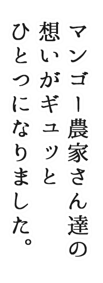 宮古島 通販 マンゴー | 宮古島のしあわせマンゴー | マンゴー農家さん達の想いがギュッとひとつになりました。