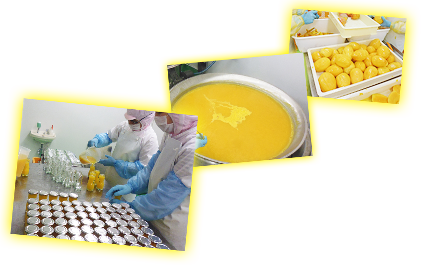 宮古島 通販 マンゴー | 宮古島のしあわせマンゴー