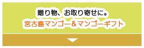 宮古島 通販 マンゴー | 贈り物お取り寄せに 宮古島マンゴー＆ギフト専門店ティダファクトリ