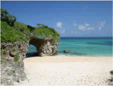 宮古島 マンゴー | 宮古島マンゴー専門工房 ティダファクトリ TidaFactory | 宮古島のご紹介