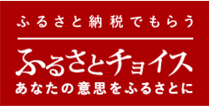 宮古島 マンゴー | 宮古島マンゴー専門工房 ティダファクトリ TidaFactory |ふるさとチョイス