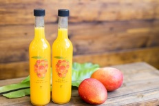 宮古島 マンゴー | 宮古島マンゴー専門工房 ティダファクトリ TidaFactory | しあわせマンゴー