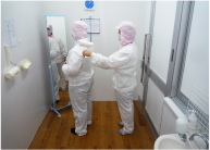 宮古島 マンゴー | 宮古島マンゴー専門工房 ティダファクトリ TidaFactory | 作業衣に着替え、ローラー掛けにて付着した髪の毛等を除去します。