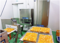 宮古島 マンゴー | 宮古島マンゴー専門工房 ティダファクトリ TidaFactory | ショックフリーザー、金属探知機