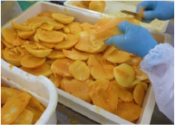 宮古島 マンゴー | 宮古島マンゴー専門工房 ティダファクトリ TidaFactory | ⑤果肉取り